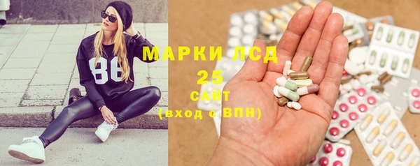 apvp Каменка