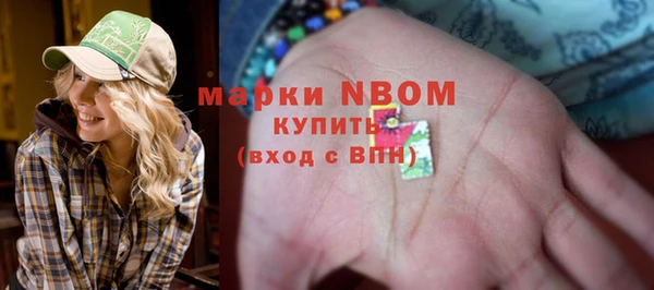 хмурый Алексин