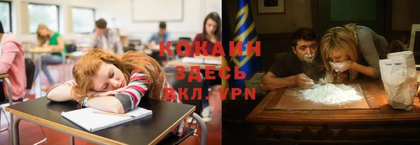хмурый Алексин