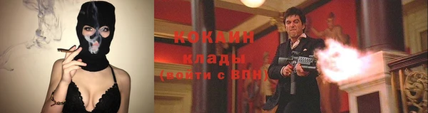 крисы Михайлов