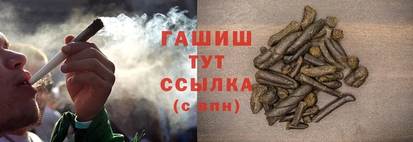 хмурый Алексин