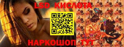 гашик Аргун