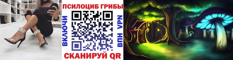 Псилоцибиновые грибы Cubensis Ачинск