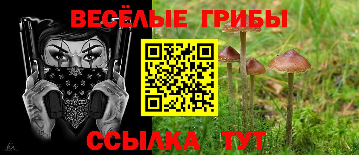что такое наркотик  Вход с VPN  Псилоцибиновые грибы GOLDEN TEACHER  Ачинск  Псилоцибиновые грибы Psilocybe 